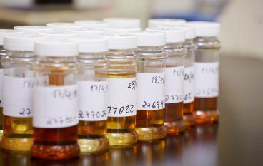 Small containers of oil lined up